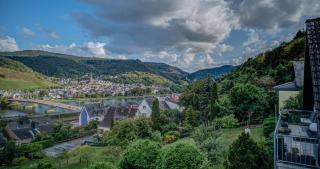 Ferienwohnung Panorama Moselblick - Treis-Karden - 8