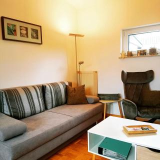 Ferienwohnung Alpaka Blick - Schneppenbach - 4