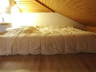 Grand duplex 44m² 5 pers avec parking au centre de la station - FR-1-573-26 - Saint-Jean-d'Aulps - 4