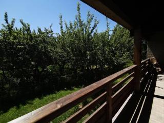 Maison calme avec jardin, 3 chambres, cheminée proche station de ski - FR-1-393-151 - Saint-Michel-de-Chaillol - 5