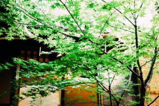 Tsukito - Kyoto - 1