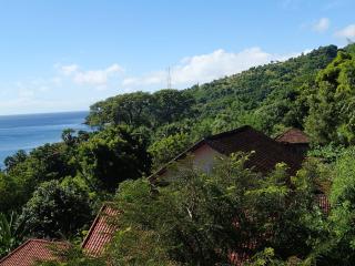 Titi Sedana Homestay - Amed - 5