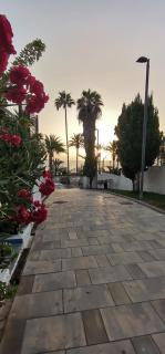 Apartamento Playa Las Americas - Playa de las Americas - 0