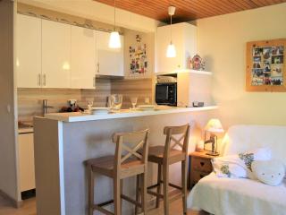 Studio cosy 4 pers, centre station, proche des pistes et commerces à Vars - FR-1-330B-165 - Vars - 4