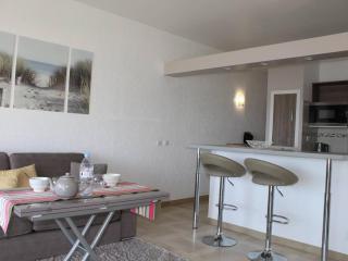 Appartement 2P, 4 couchages, climatisé avec parking à Villeneuve-Loubet Plage - FR-1-252A-30 - 7