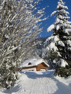 Gästehaus Gschwandtner - Mühlbach am Hochkönig - 8