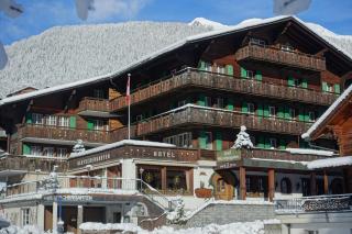 Hotel Gletschergarten - Grindelwald - 9