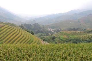 Hello Mu Cang Chai Homestay & Tours - Mù Cang Chải - 6