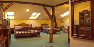 Hotel Zlatá Stoupa - Kutná Hora - 5