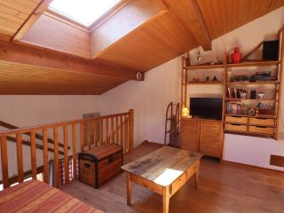 Duplex spacieux 2 chambres avec piscine proche des pistes - FR-1-342-172 - Arêches-Beaufort - 1