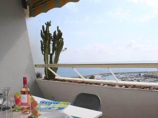 Studio climatisé à 3 min de la plage, Villeneuve-Loubet - FR-1-252A-17 - 9