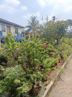 Sharon Home Stay - Madikeri - 8