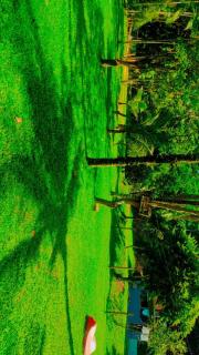 Parati suite - Paraty - 1