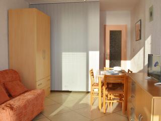 Charmant studio sur plage, 4 couchages, animaux admis - FR-1-251-251 - 1