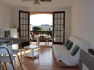 Studio-cabine lumineux avec terrasse, parking, proche plage - FR-1-100-119 - Cavalaire-sur-Mer - 8