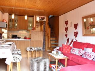 Appartement 3 pièces, 6 pers, proche pistes, parking - FR-1-180-365 - Les Allues - 1
