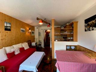 Charmant 2 pièces + mezzanine, centre Chinaillon, balcon sud, parking privé - FR-1-241-190 - Le Grand-Bornand - 0
