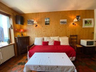 Charmant 2 pièces + mezzanine, centre Chinaillon, balcon sud, parking privé - FR-1-241-190 - Le Grand-Bornand - 8
