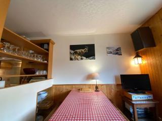 Charmant 2 pièces + mezzanine, centre Chinaillon, balcon sud, parking privé - FR-1-241-190 - Le Grand-Bornand - 7