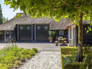 Farmhouse in Balkbrug with Sauna - Balkbrug - 3