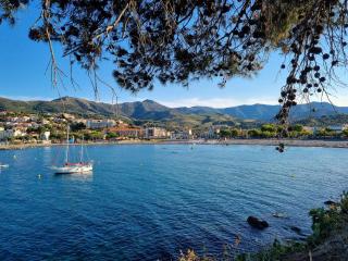 Appartement 2P climatisé avec parking et WIFI à Banyuls-sur-Mer - FR-1-225C-91 - Banyuls-sur-Mer - 7