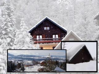 Chalet cosy 5 pers. à Saint-Michel-de-Chaillol - Ski, rando, balcon Sud, animaux acceptés - FR-1-393-89 - Saint-Michel-de-Chaillol - 9