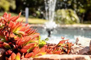 Guesthouse Serenity - Hartbeespoort - 3
