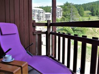Appartement cosy 2 pièces avec balcon et accès piscine à Risoul - FR-1-330-164 - 3