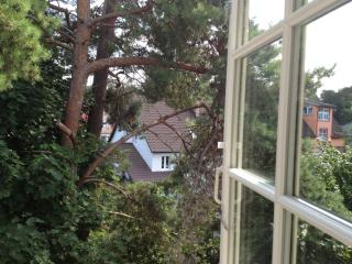 Haus Stoertebeker Appartements - Hotel Garni, Seebad Lubmin - 9