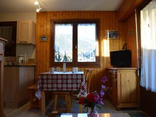 Studio cabine 4 pers. proche patinoire et pistes, parking, ménage inclus, navette à proximité - FR-1-241-157 - Le Grand-Bornand - 7