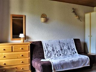 Studio 4 pers avec balcon - Animaux admis - Parking gratuit - FR-1-330-131 - Risoul - 1
