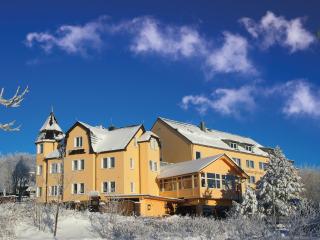 Schlossberghotel Oberhof - Oberhof - 6