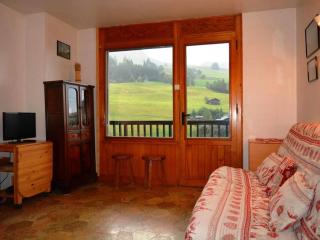 Appt 2P avec balcon au centre du Chinaillon, proche pistes, parking et casier à ski - FR-1-241-147 - 5