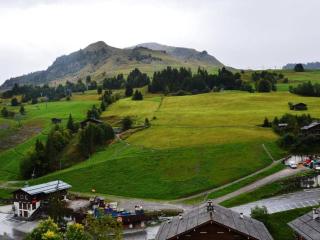 Appt 2P avec balcon au centre du Chinaillon, proche pistes, parking et casier à ski - FR-1-241-147 - 2