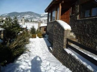 CHALET LE BLANC - Arachova - 6