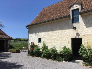 Le Big Family - LE MONT DE LA LOUVE - 9