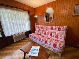Studio skis aux pieds avec balcon au Grand-Bornand - FR-1-241-20 - Le Grand-Bornand - 8