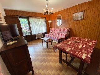 Studio skis aux pieds avec balcon au Grand-Bornand - FR-1-241-20 - Le Grand-Bornand - 5