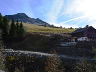 Studio RDC 4 pers, accès pistes, parking - FR-1-241-96 - Le Grand-Bornand - 2