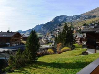 Studio RDC 4 pers, accès pistes, parking - FR-1-241-96 - Le Grand-Bornand - 1