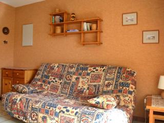 Studio cosy avec terrasse sud, proche navettes, Le Grand-Bornand - FR-1-241-51 - Le Grand-Bornand - 7