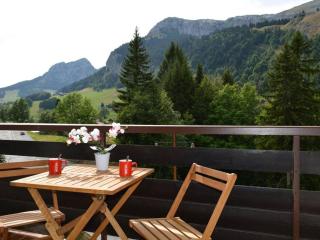 Studio pied des pistes – 4 pers, balcon sud, casier à ski, parking - FR-1-241-126 - Le Grand-Bornand - 4