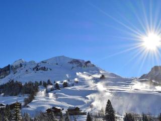 Appart. cosy 2 pièces, 6 pers, terrasse, garage, proche pistes - Le Grand-Bornand - FR-1-241-25 - Le Grand-Bornand - 2
