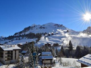 Studio cabine au Chinaillon, calme, proche pistes, parking - FR-1-241-109 - Le Grand-Bornand - 3