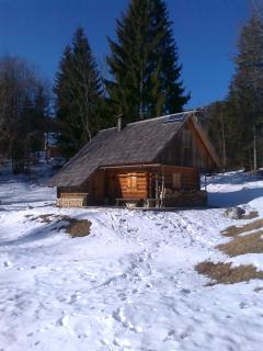 Hiška vogar - Bohinj - 9