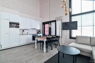 Holiday in Lapland - SointuiLevi Premium2 B68 - 1