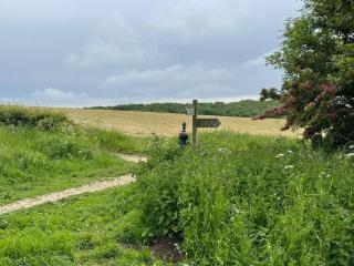 Robeanne House Holiday Accommodation - Shiptonthorpe - 3
