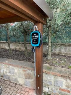 La Folaga del Trasimeno - Magione - 1