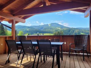 Dachstein West Apartment T5 - Russbach am Pass Gschütt - 9