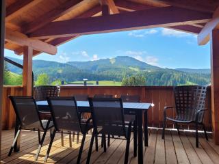 Dachstein West Apartment T5 - Russbach am Pass Gschütt - 3